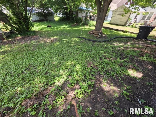 1405 26th St, Rock Island, IL 61201 - view of yard