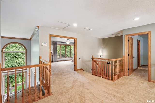 4457 Old Ivy Ct, Bettendorf, IA 52722 - photo 21