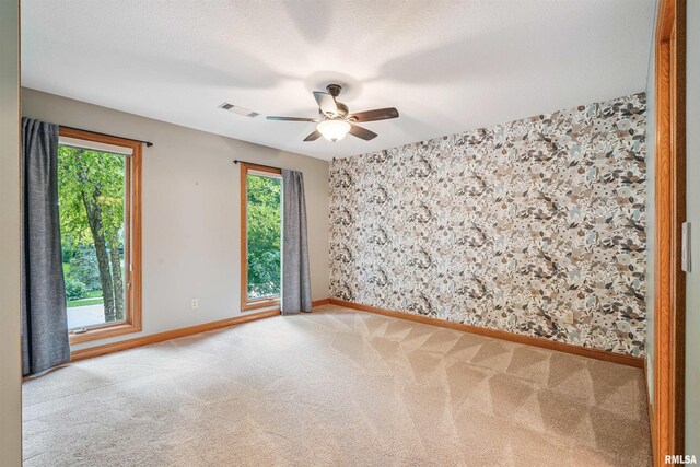4457 Old Ivy Ct, Bettendorf, IA 52722 - photo 25