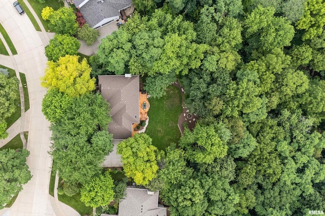 4457 Old Ivy Ct, Bettendorf, IA 52722 - photo 47