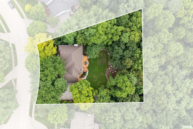 4457 Old Ivy Ct, Bettendorf, IA 52722 - photo 48