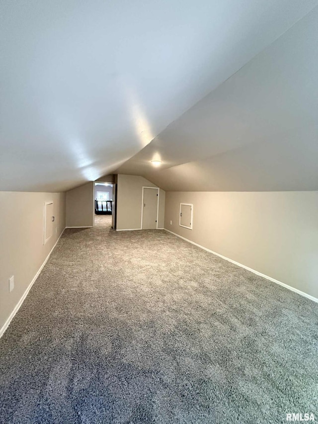 2111 Pine St, Murphysboro, IL 62966 - additional living space with vaulted ceiling and carpet