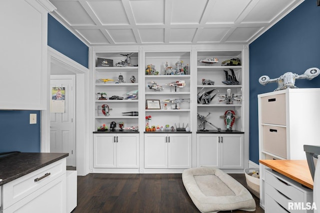 1309 5th St, Orion, IL 61273 - view of pantry
