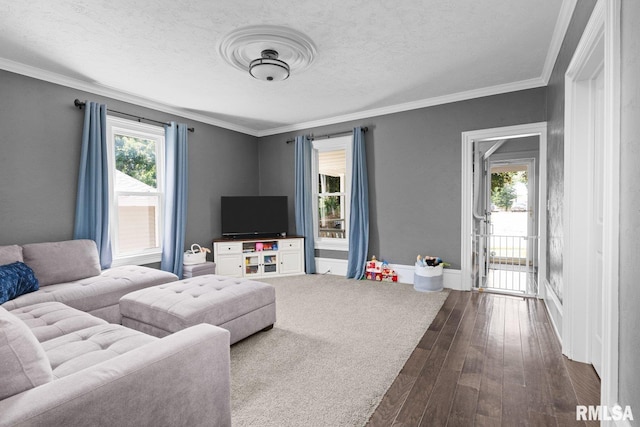 1309 5th St, Orion, IL 61273 - living room featuring dark wood-style floors, ornamental molding, and a textured ceiling