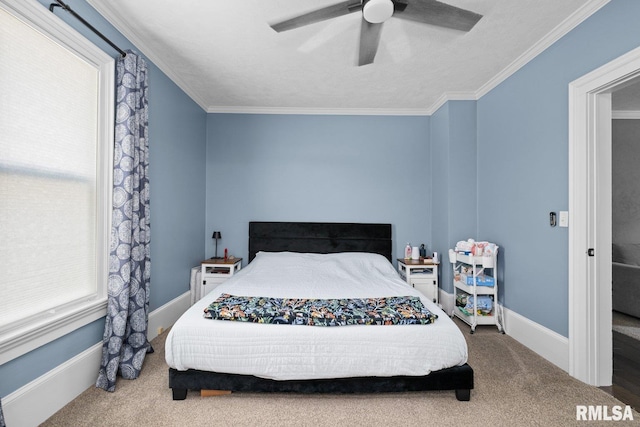 1309 5th St, Orion, IL 61273 - carpeted bedroom with multiple windows, crown molding, and ceiling fan