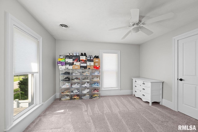 1309 5th St, Orion, IL 61273 - bedroom featuring multiple windows, carpet floors, and a ceiling fan