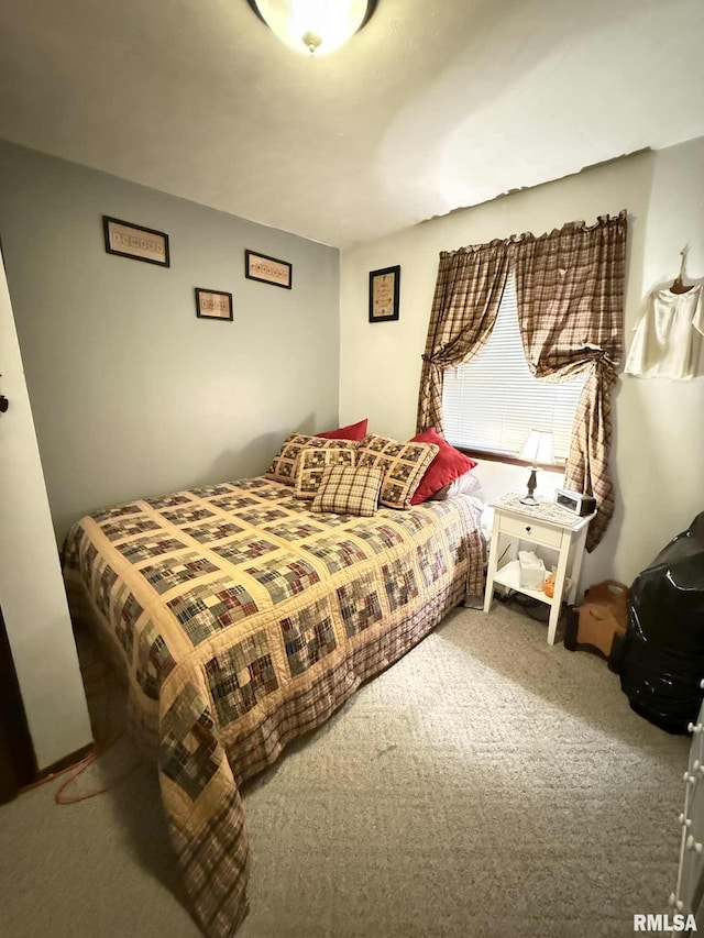 501 N Cambridge Dr, Desoto, IL 62924 - bedroom featuring carpet