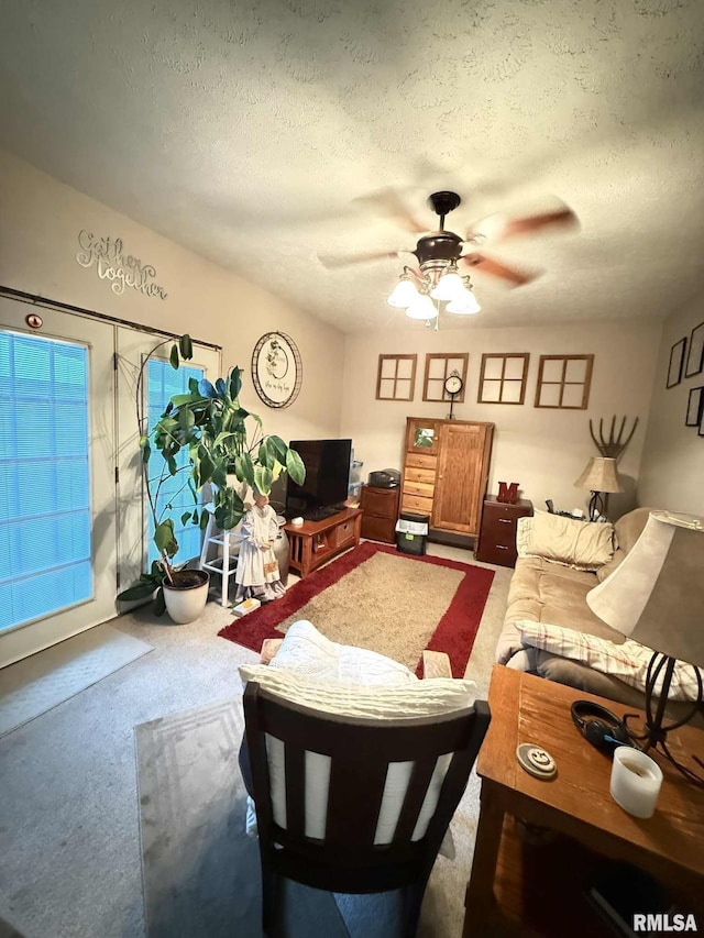 501 N Cambridge Dr, Desoto, IL 62924 - carpeted living area with ceiling fan and a textured ceiling