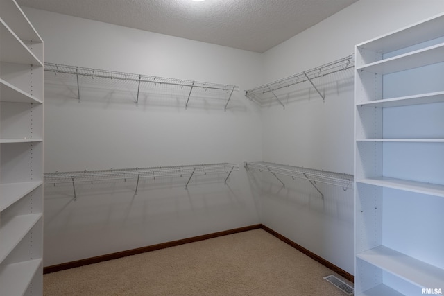 922 W Scott St, Eldridge, IA 52748 - walk in closet with carpet flooring