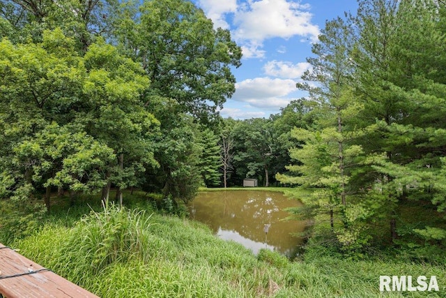 7319 106th Ave, Coal Valley, IL 61240 - view of tree filled area featuring a water view