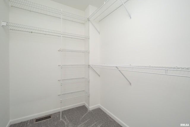 1263 33rd Avenue Cir, Silvis, IL 61282 - walk in closet with carpet flooring