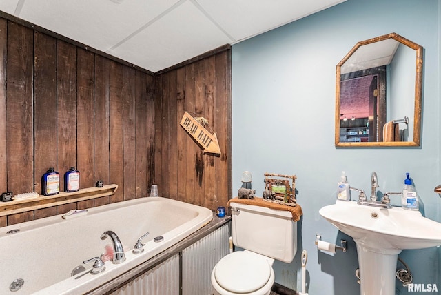 25622 1st Ave N, Hillsdale, IL 61257 - bathroom featuring a bath and wooden walls