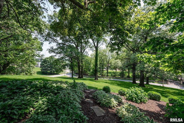 102 Forest Rd, Davenport, IA 52803 - photo 80