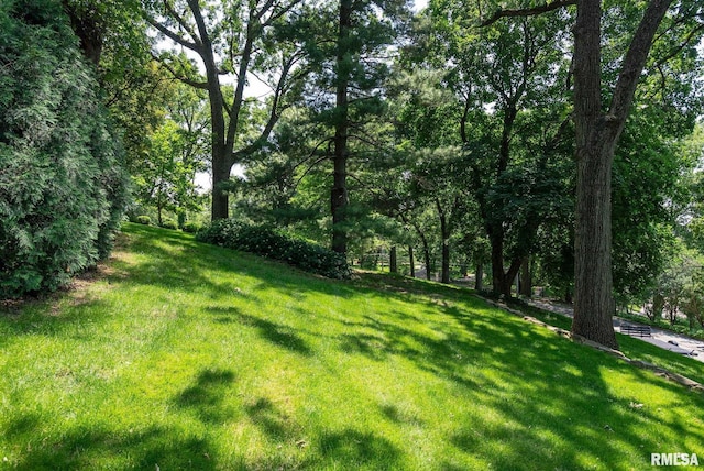 102 Forest Rd, Davenport, IA 52803 - photo 81
