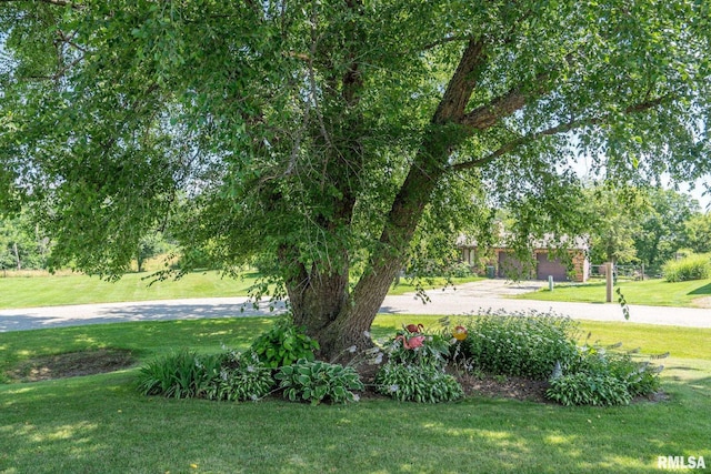 13 Mary Lane Ct, Geneseo, IL 61254 - photo 44