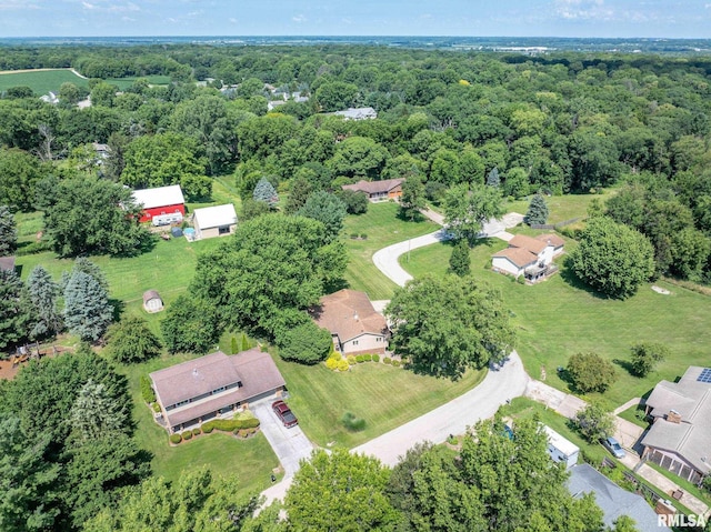 13 Mary Lane Ct, Geneseo, IL 61254 - photo 46
