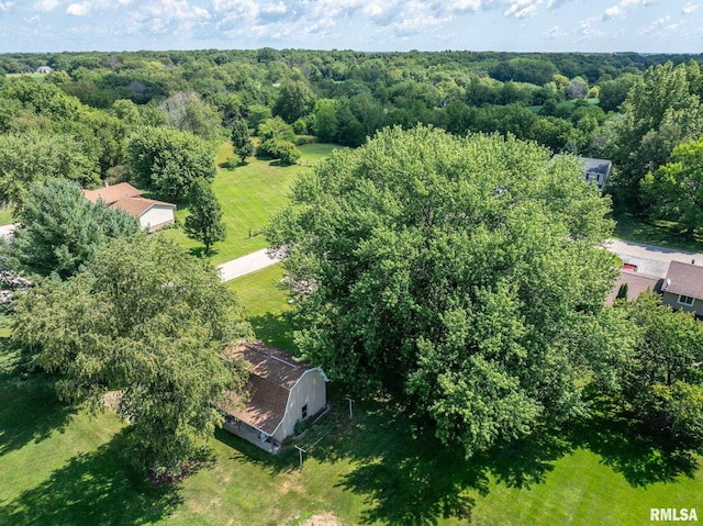 13 Mary Lane Ct, Geneseo, IL 61254 - photo 50