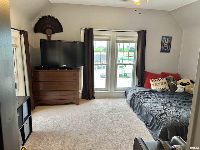 653 Ferry Rd, Miles, IA 52064 - carpeted bedroom with vaulted ceiling