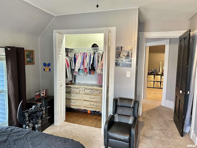 653 Ferry Rd, Miles, IA 52064 - bedroom with vaulted ceiling, a spacious closet, and carpet