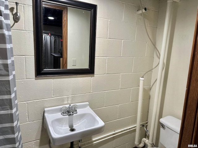 653 Ferry Rd, Miles, IA 52064 - bathroom featuring a sink and concrete block wall