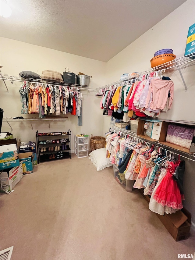 66 Windy Hill Dr, Murphysboro, IL 62966 - spacious closet featuring carpet flooring