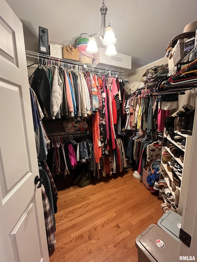 66 Windy Hill Dr, Murphysboro, IL 62966 - spacious closet featuring light wood-style flooring and a chandelier
