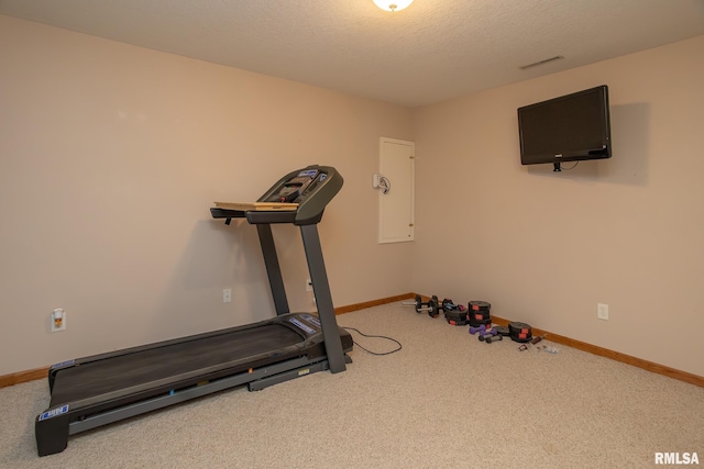 1199 Scenic Place, Le Claire, IA 52753 - workout room featuring carpet floors and a textured ceiling
