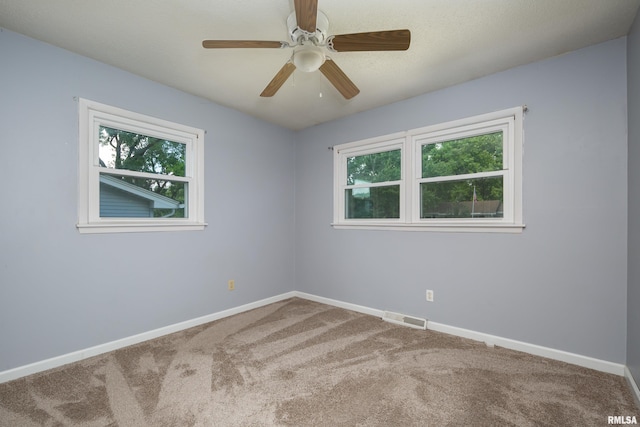 8213 10th St W, Rock Island, IL 61201 - photo 14