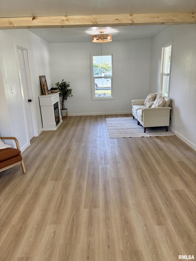 527 S Rotan St, Salem, IL 62881 - sitting room featuring light wood-type flooring and a glass covered fireplace