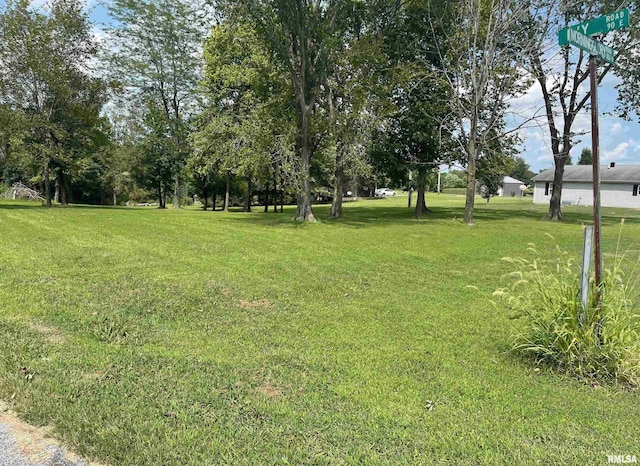 LOTS473-476 Ivy Rd, Carbondale, IL 62901 - photo 3