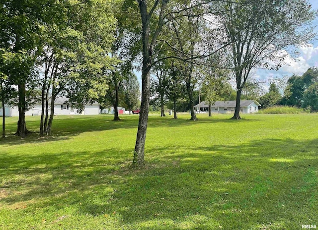 LOTS473-476 Ivy Rd, Carbondale, IL 62901 - photo 4