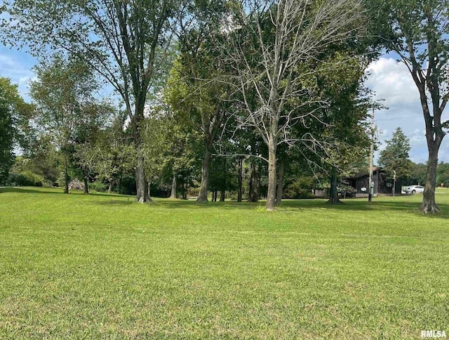 LOTS473-476 Ivy Rd, Carbondale, IL 62901 - photo 5