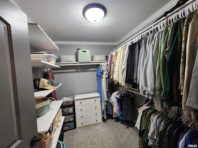 1009 Trolley St, Eldorado, IL 62930 - photo 28