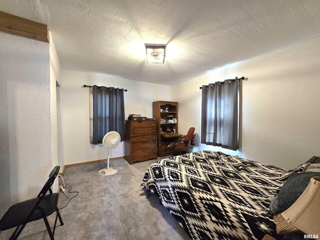 407 23rd Ave, Fulton, IL 61252 - photo 9