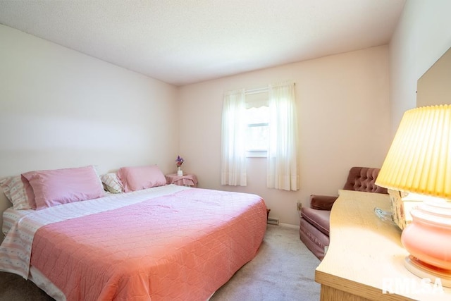 206 Patricia Ln, West Frankfort, IL 62896 - bedroom featuring light carpet