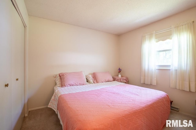 206 Patricia Ln, West Frankfort, IL 62896 - bedroom with carpet flooring and a closet