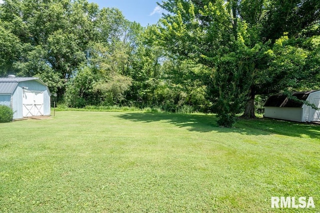 206 Patricia Ln, West Frankfort, IL 62896 - view of green lawn featuring a storage shed
