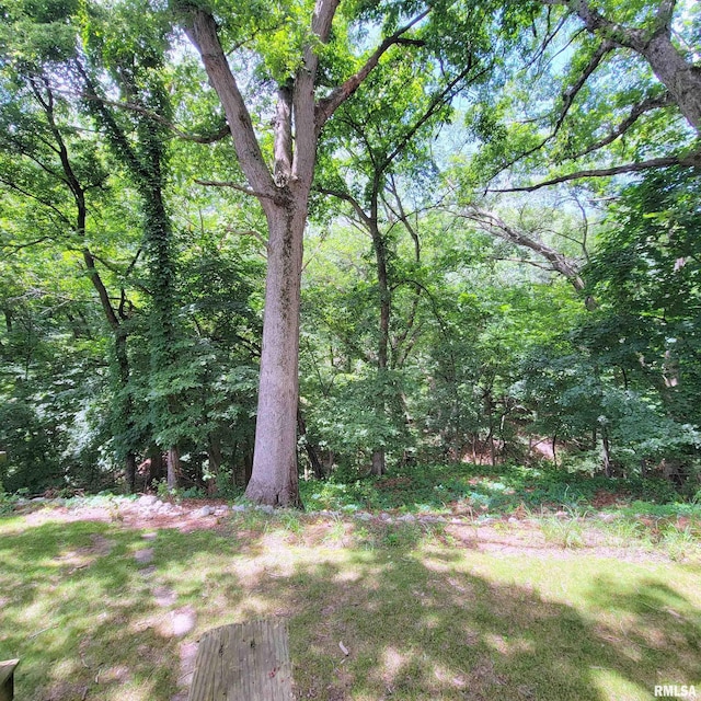1111 52nd Street Ct, Moline, IL 61265 - photo 35