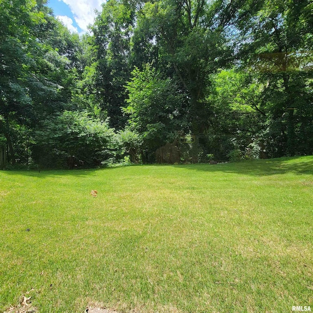 1111 52nd Street Ct, Moline, IL 61265 - photo 41