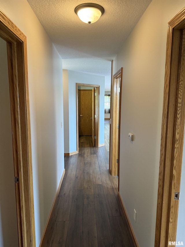 124 Riverview Heights Dr, Le Claire, IA 52753 - hallway featuring a textured ceiling and dark wood finished floors