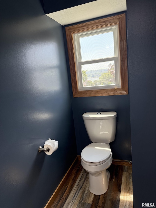 124 Riverview Heights Dr, Le Claire, IA 52753 - bathroom with toilet and wood finished floors