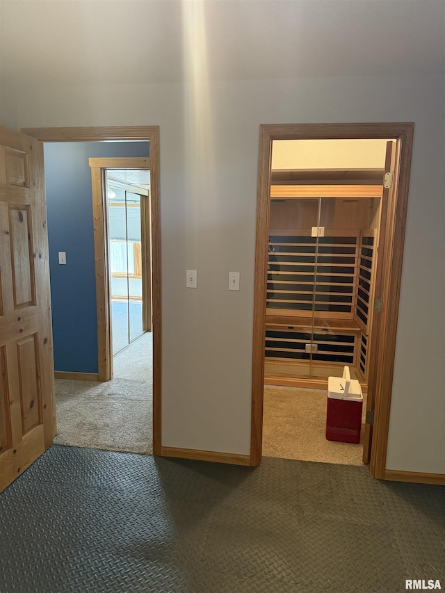 124 Riverview Heights Dr, Le Claire, IA 52753 - sauna / steam room featuring carpet floors and baseboards