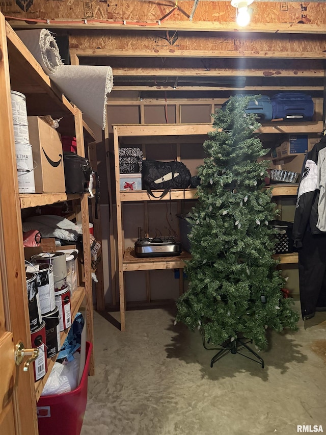 124 Riverview Heights Dr, Le Claire, IA 52753 - view of storage area