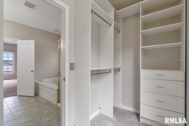 1 S Shore Ln, Rapids City, IL 61278 - spacious closet with light carpet