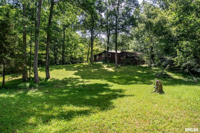 615 E Blue Ave, Creal Springs, IL 62922 - photo 18