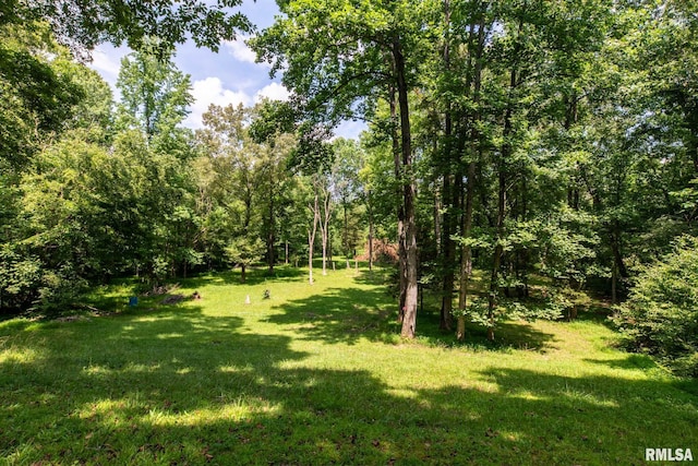 615 E Blue Ave, Creal Springs, IL 62922 - photo 20
