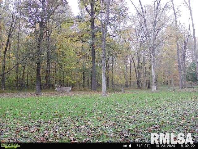 615 E Blue Ave, Creal Springs, IL 62922 - photo 51