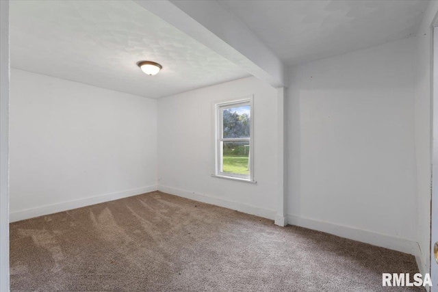 336 E Ogden Ave, Geneseo, IL 61254 - photo 22