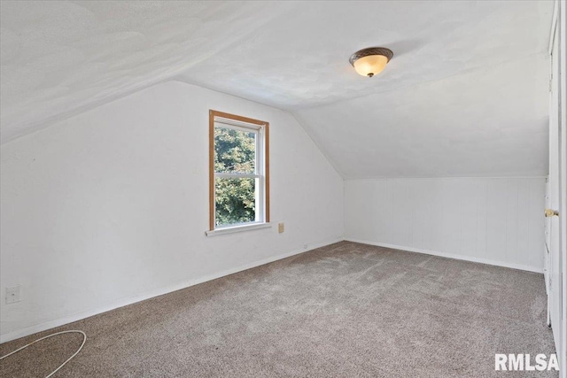 336 E Ogden Ave, Geneseo, IL 61254 - photo 25