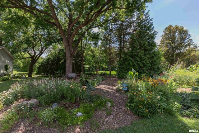 8 Kimberly Dr, Coal Valley, IL 61240 - photo 3